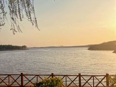 -丁香湖公园