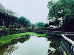 -西南政法大学(沙坪坝校区)