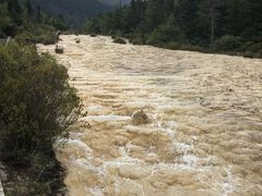 -黄龙山原始森林景区