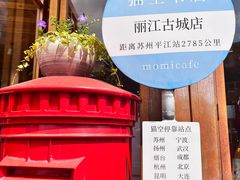 -猫的天空之城概念书店(丽江古城饮玉巷店)