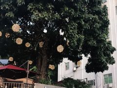 -泰堤坊(淡水体育馆店)