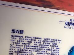 -贝壳梦幻世界