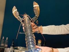 -Oyster Talks 四度蚝法餐厅