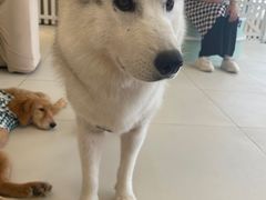 -怪兽屋·羊驼·猫咖·狗咖(俊华广场店)