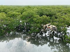 -北海金海湾红树林生态旅游区