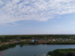 -春花秋色城市公园