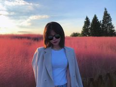 -羊亭河湿地公园