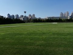 -大连人民广场