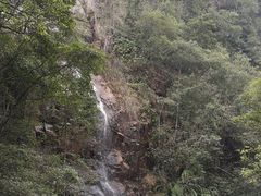 -九龙江国家森林公园