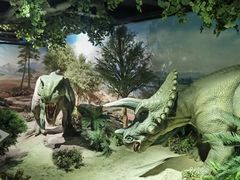 -国家自然博物馆