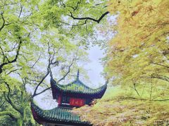 -岳麓山风景名胜区