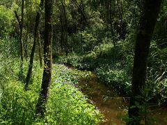 -西湖风景区-江洋畈生态公园