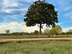 -汉长安城未央宫国家考古遗址公园