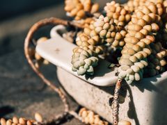 -翠田Green Field Kitchen