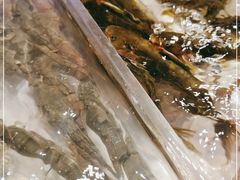 -诱货海鲜自助火锅(爱琴海购物公园东百店)