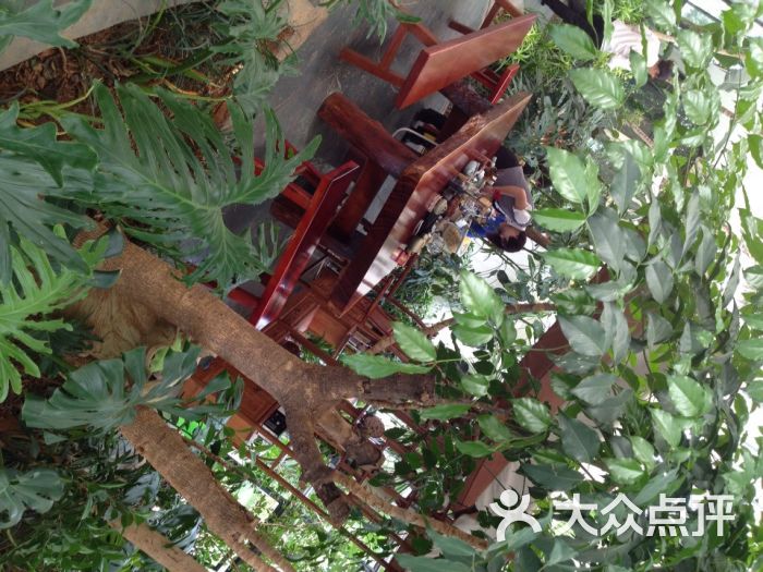 富民县一丘田杨梅庄园图片 - 第18张