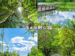 -南海子公园