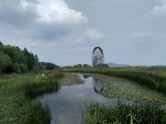 -太湖湖滨国家湿地公园-停车场