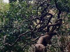 -复旦大学附属华山医院(总院)