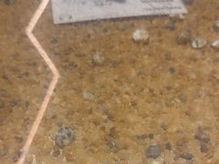 -三姐海南粉(骑楼老街店)