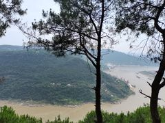 -铁山坪森林公园