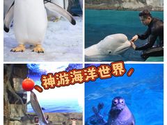 -威海华夏城景区