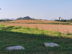 -光明小镇欢乐田园