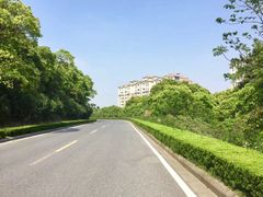 -平湖九龙山旅游度假区