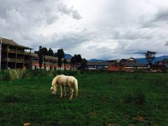 -泸沽湖国家级风景名胜区走婚桥