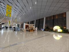 -郑州新郑国际机场-T2航站楼
