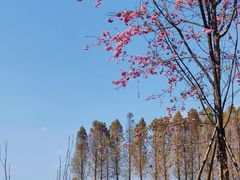 -捞渔河湿地公园