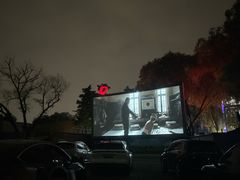 -枫花园汽车电影院(朝阳公园店)