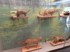 -下渚湖国家湿地公园科普馆