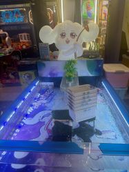 -卡通尼乐园(景枫中心店)