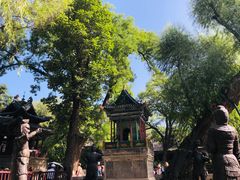 -晋祠公园