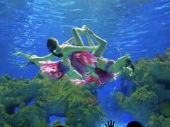 -芜湖新华联大白鲸海洋公园