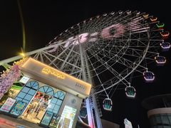 -琴岛之星摩天轮