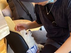 -工页咖啡X COFFEE(龙东路店)