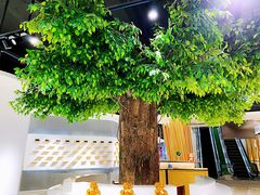 -大明府国际眼镜(太原北街店)