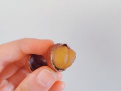 -鑫鑫栗王(吉祥商城店)