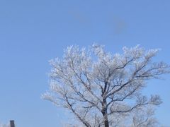 -亚布力新体委滑雪场