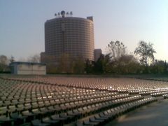 在植物园看大厦-山东大厦