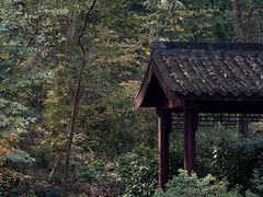 -南山风景名胜区