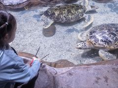 -南昌海洋公园