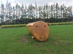 -前小桔亲子创意农场·草莓采摘·露营烧烤