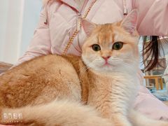 -小小班私人影院·猫咖(万达茂广场店)