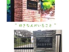 -灌篮高手动画打卡地