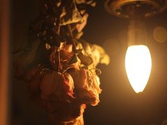 -花·fleur古董西餐厅(西城夜未央店)