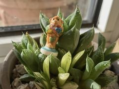 -老梦面包CHEZMOREL(麦子店)