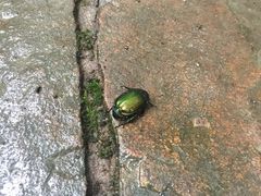 -溪口-滕头旅游景区